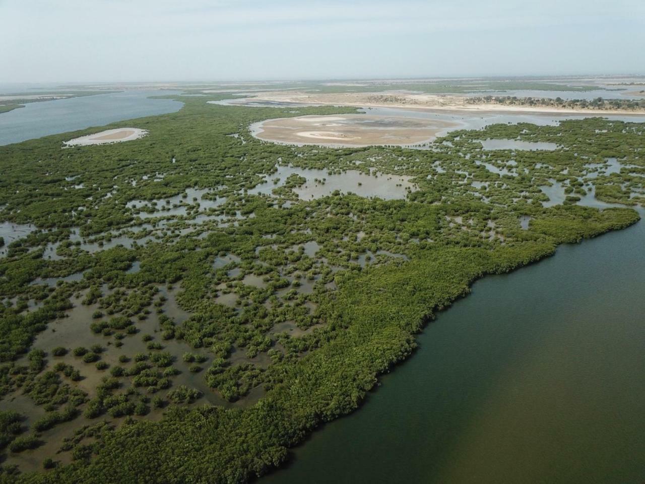 Le Pelican Du Saloum Sine-Saloum Exterior foto